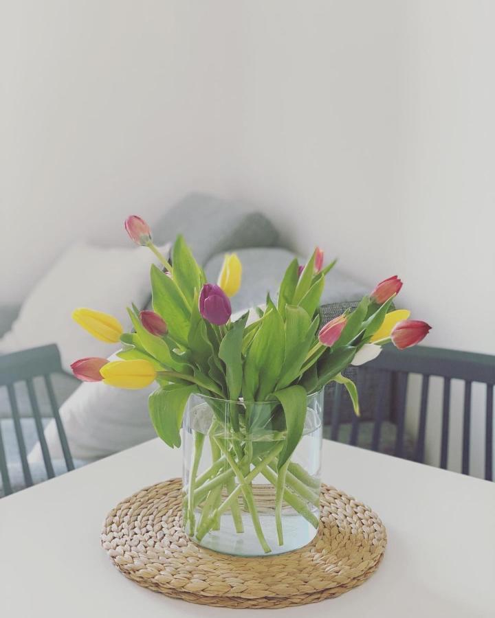 Cioccis Boutique Apartment روما المظهر الخارجي الصورة